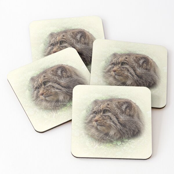 Item preview, Manul cub designed and sold by Guardi71.