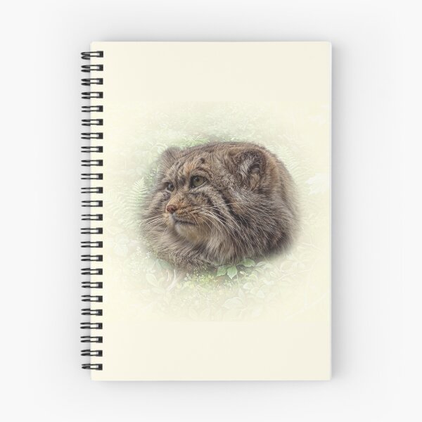 Item preview, Manul cub designed and sold by Guardi71.