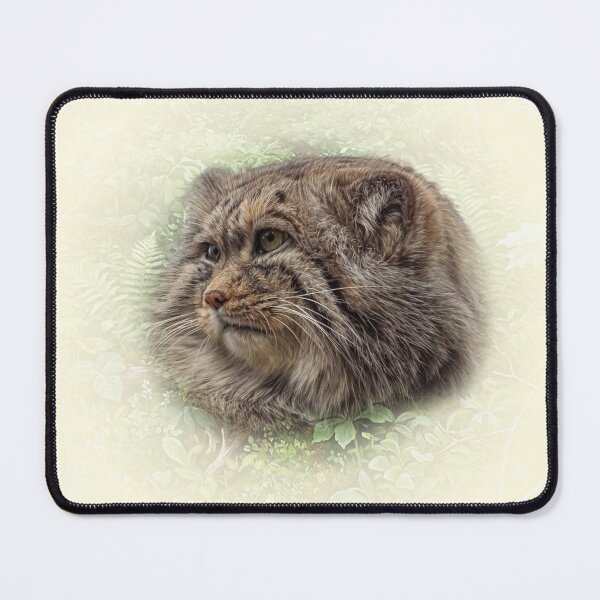 Item preview, Manul cub designed and sold by Guardi71.