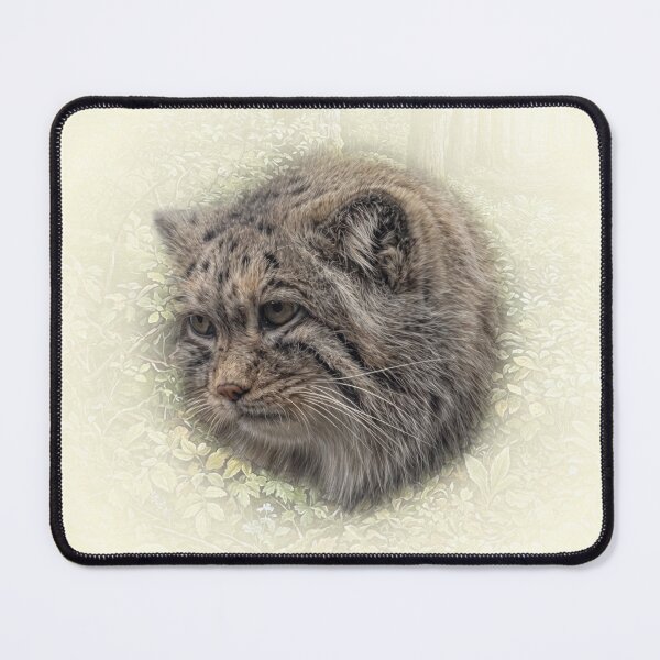 Item preview, Manul cub designed and sold by Guardi71.