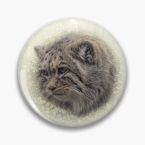 Item preview, Manul cub designed and sold by Guardi71.