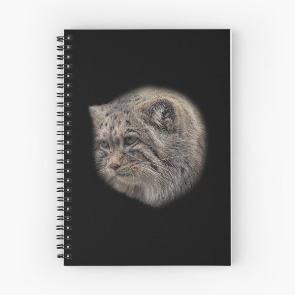 Item preview, Manul cub designed and sold by Guardi71.