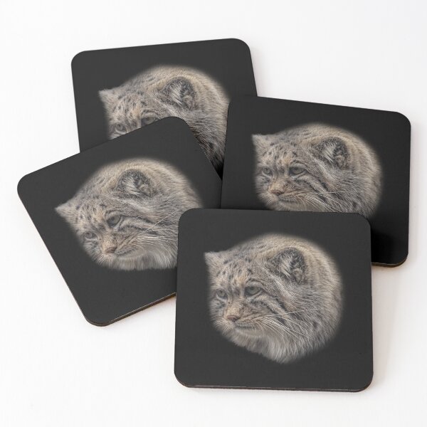 Item preview, Manul cub designed and sold by Guardi71.