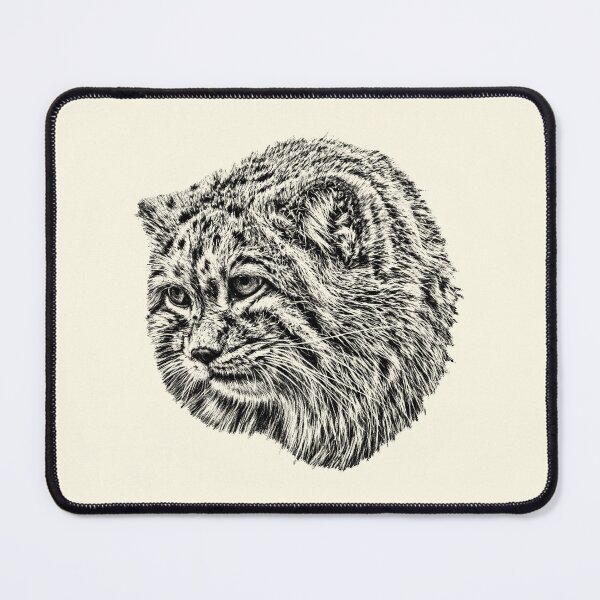 Item preview, Manul cub designed and sold by Guardi71.
