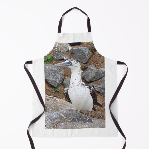 Item preview, A portrait of a Nazca Booby, Speckled Seabird Beauty designed and sold by Astute-Artio-Photography.