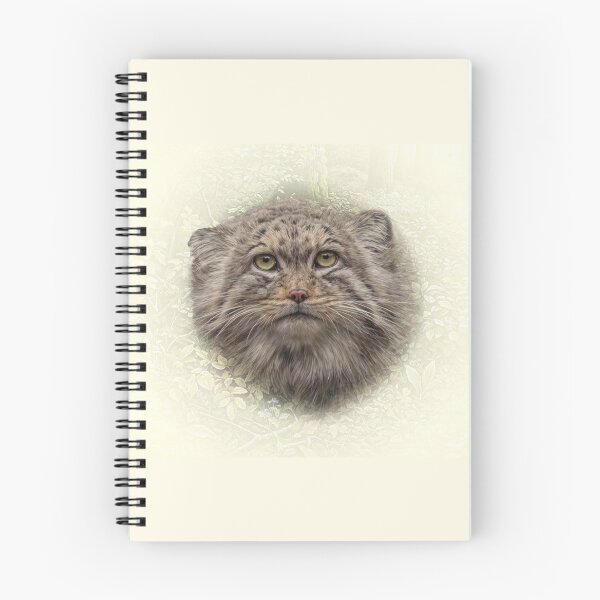 Item preview, Manul cub designed and sold by Guardi71.