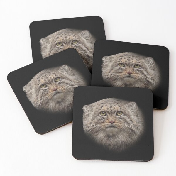 Item preview, Manul cub designed and sold by Guardi71.