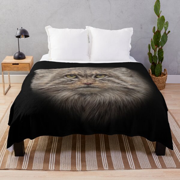 Item preview, Manul cub designed and sold by Guardi71.