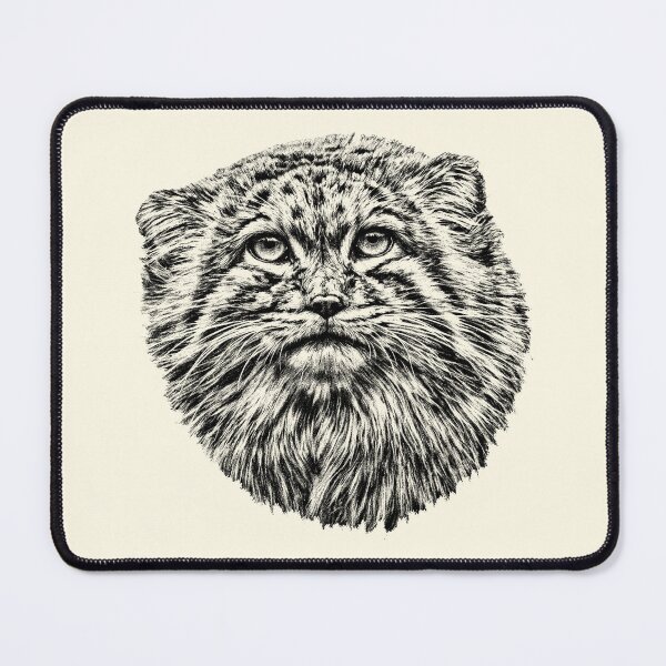 Item preview, Manul cub designed and sold by Guardi71.