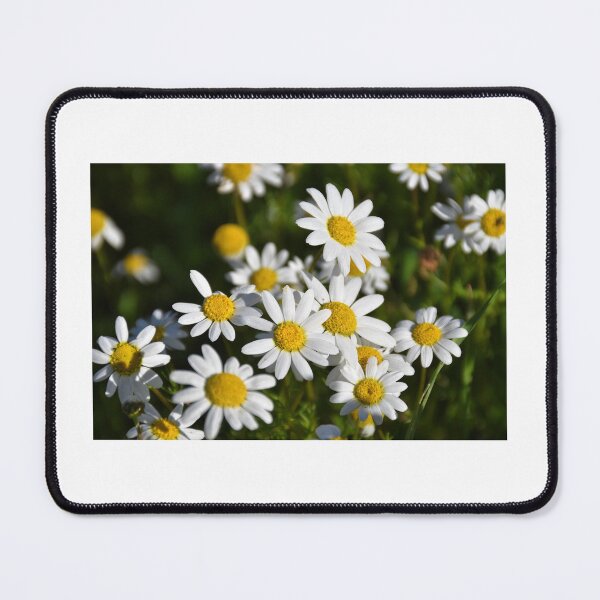 Item preview, Field of flowers designed and sold by Des-inator.