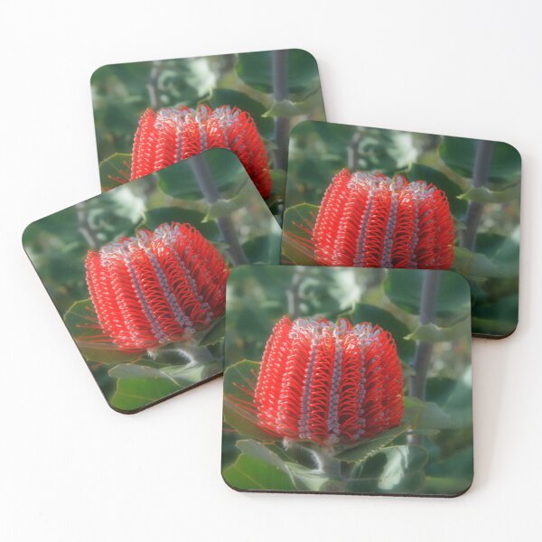 Item preview, Banksia Beauty designed and sold by Paula Bone.