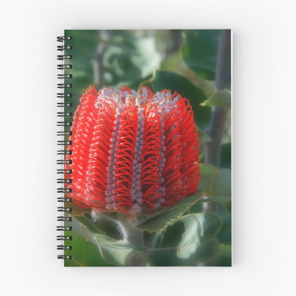 Item preview, Banksia Beauty designed and sold by Paula Bone.