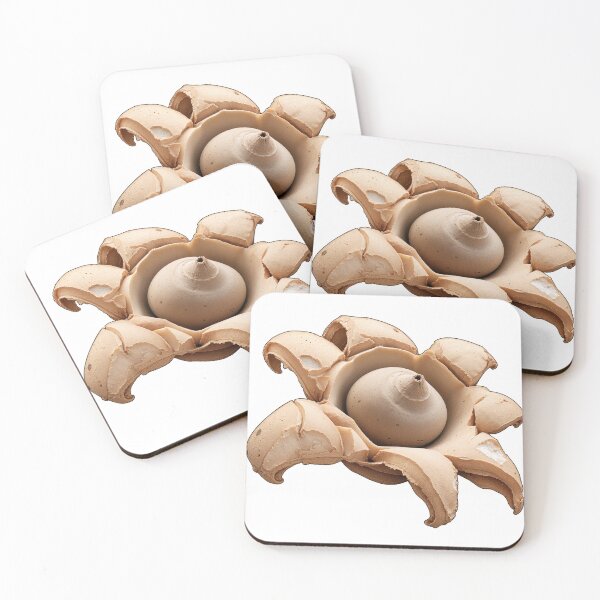 Item preview, Collared Earthstar Mushroom | Geastrum Triplex Pocket Print designed and sold by wildlifethings.