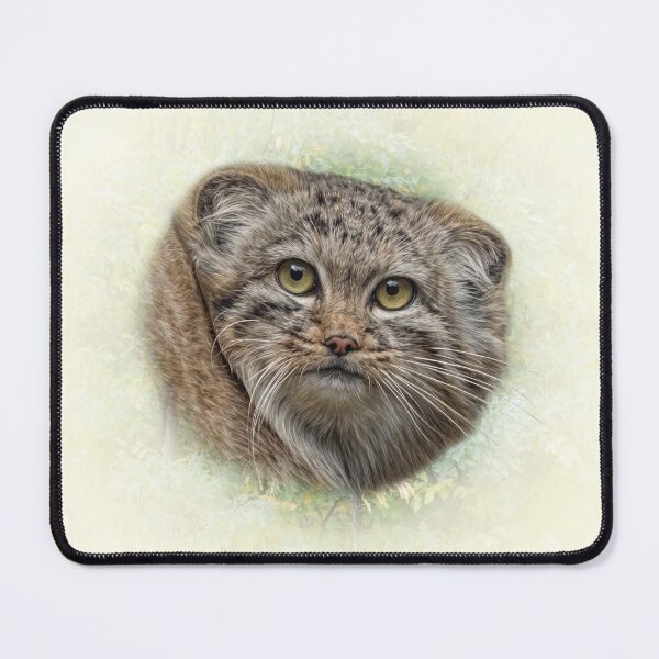 Item preview, Manul cub designed and sold by Guardi71.