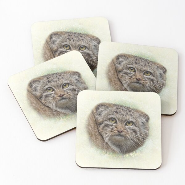 Item preview, Manul cub designed and sold by Guardi71.