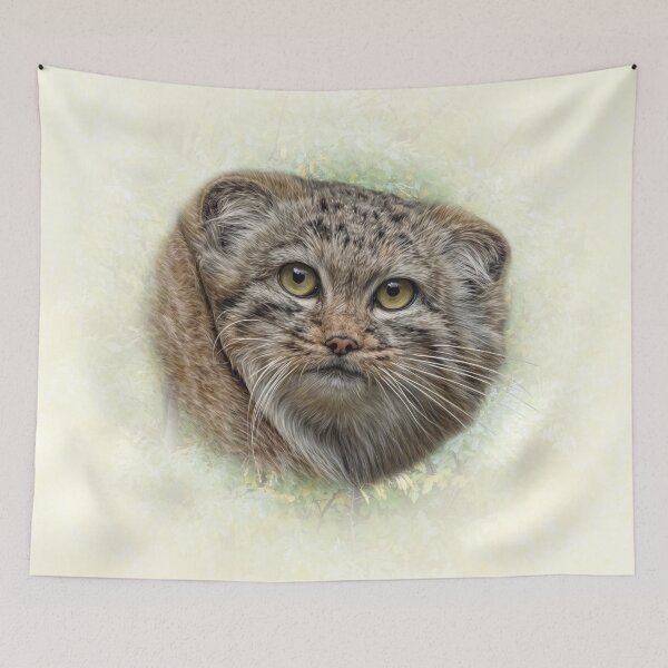 Item preview, Manul cub designed and sold by Guardi71.