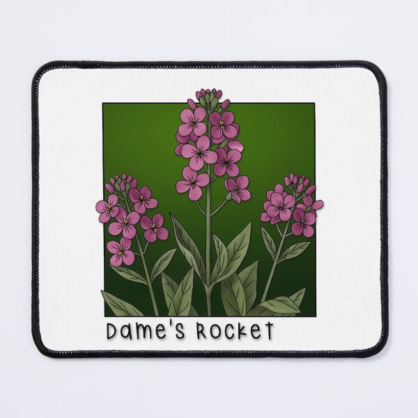 Item preview, Dame's Rocket designed and sold by paperandp!xels.