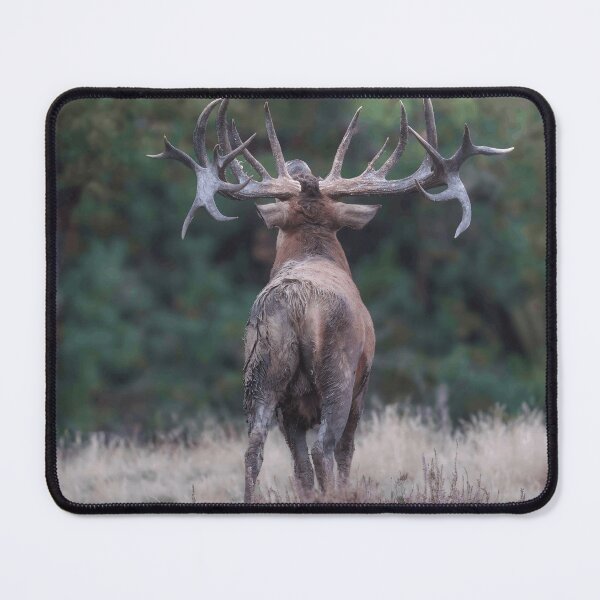 Item preview, Stag with a Crown of Antlers designed and sold by Wildframe Works.