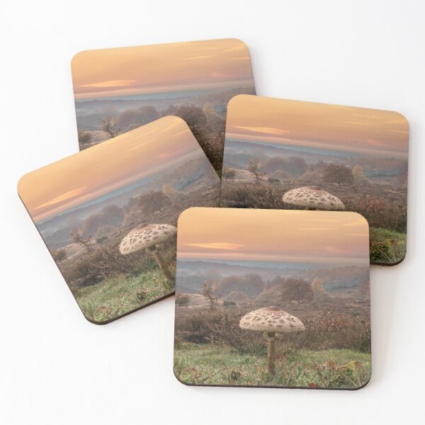 Item preview, A Mushroom at Sunset designed and sold by Wildframe Works.