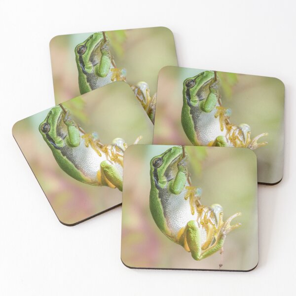 Item preview, Little Green Tree Frog designed and sold by Wildframe Works.