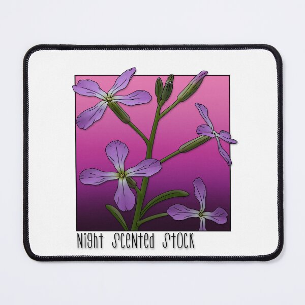 Item preview, Night Scented Stock designed and sold by paperandp!xels.
