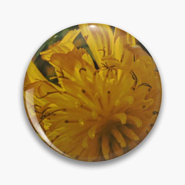 Item preview, Yellow Flower in the Afternoon Light designed and sold by Wildframe Works.