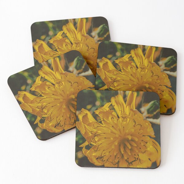 Item preview, Yellow Flower in the Afternoon Light designed and sold by Wildframe Works.