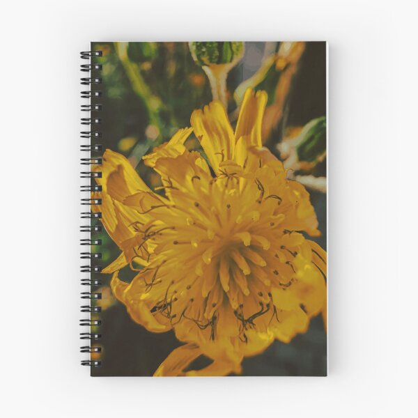 Item preview, Yellow Flower in the Afternoon Light designed and sold by Wildframe Works.