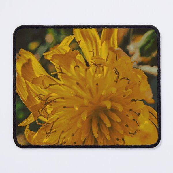 Item preview, Yellow Flower in the Afternoon Light designed and sold by Wildframe Works.