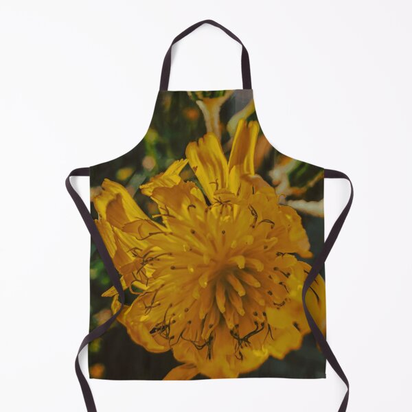 Item preview, Yellow Flower in the Afternoon Light designed and sold by Wildframe Works.
