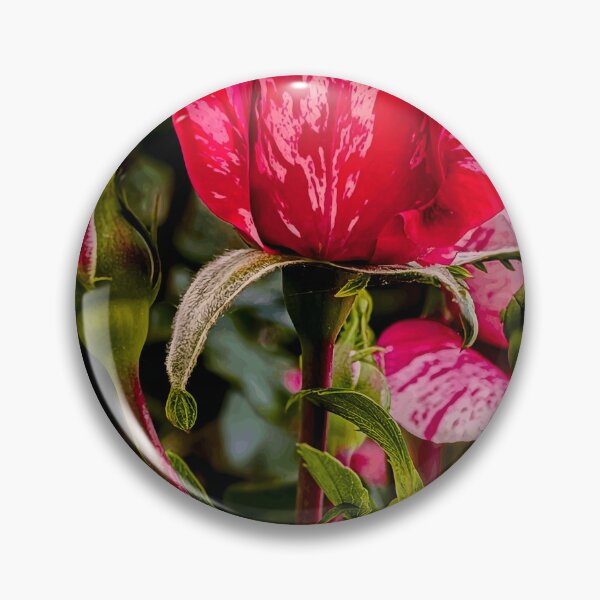 Item preview, Pink Striped Rose in Bloom designed and sold by Wildframe Works.