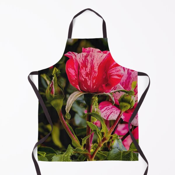 Item preview, Pink Striped Rose in Bloom designed and sold by Wildframe Works.