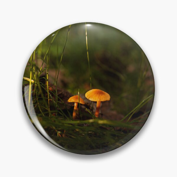 Item preview, Golden autumn mushrooms in the magical forest light designed and sold by Tammigrafie.