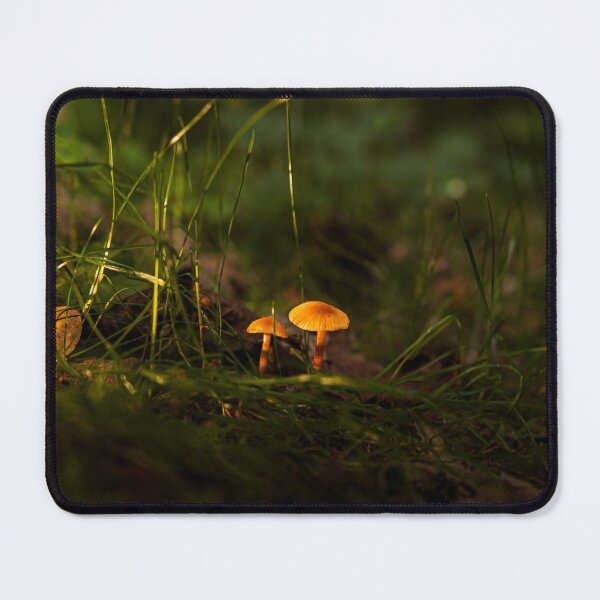 Item preview, Golden autumn mushrooms in the magical forest light designed and sold by Tammigrafie.