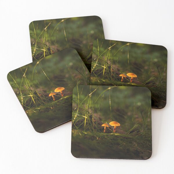 Item preview, Golden autumn mushrooms in the magical forest light designed and sold by Tammigrafie.
