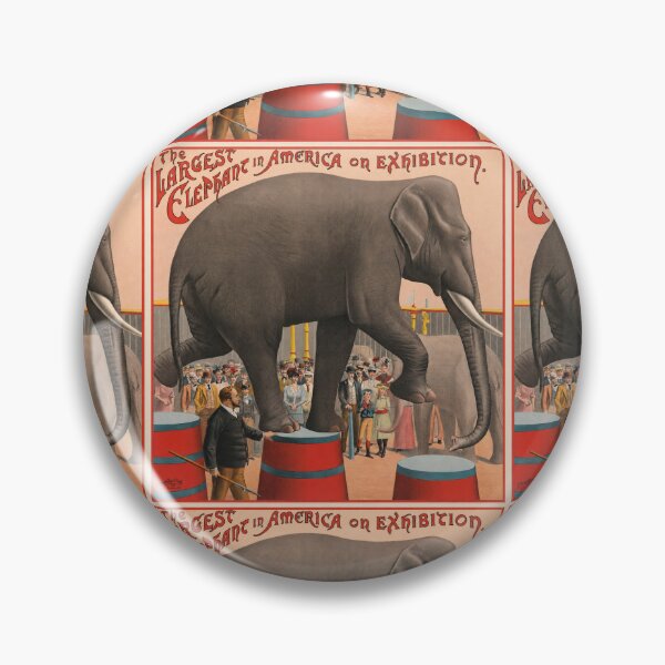 Item preview, Largest Elephant in America Exhibition designed and sold by artofuniverse.
