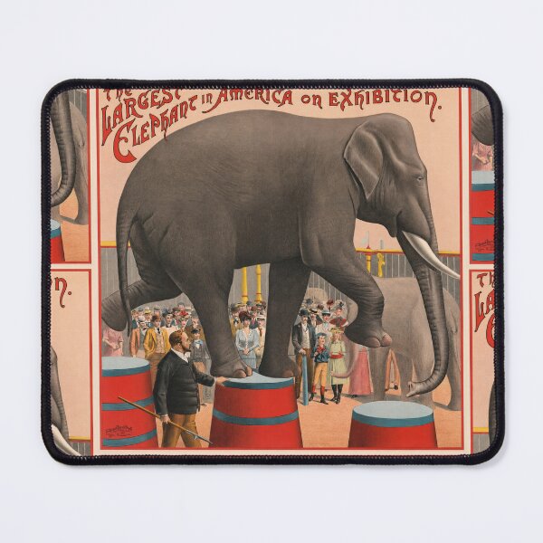 Item preview, Largest Elephant in America Exhibition designed and sold by artofuniverse.