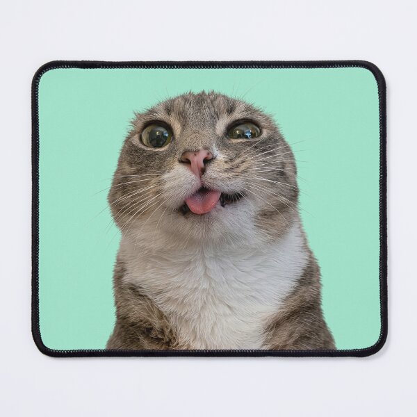 Item preview, Rigby cat designed and sold by Chonk Borris.