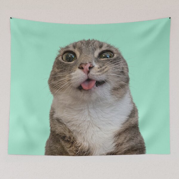 Item preview, Rigby cat designed and sold by Chonk Borris.