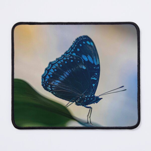 Item preview, Sapphire Blue Butterfly designed and sold by Twisted Light Images.
