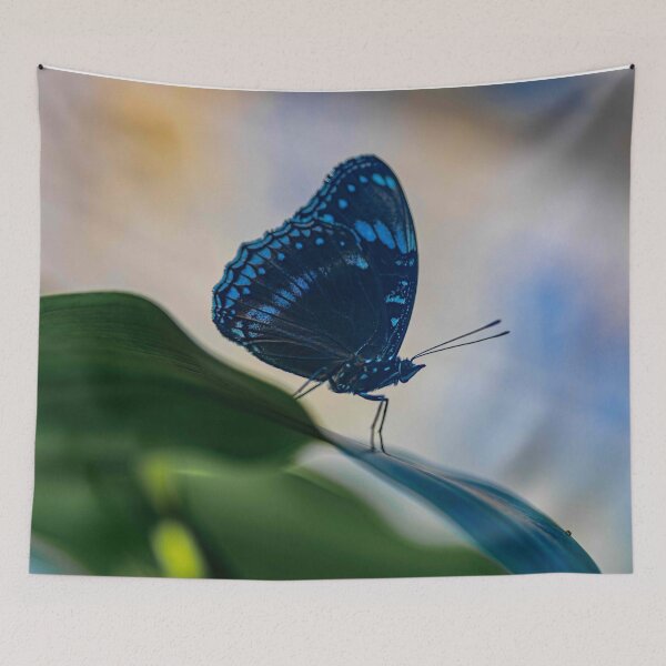 Item preview, Sapphire Blue Butterfly designed and sold by Twisted Light Images.