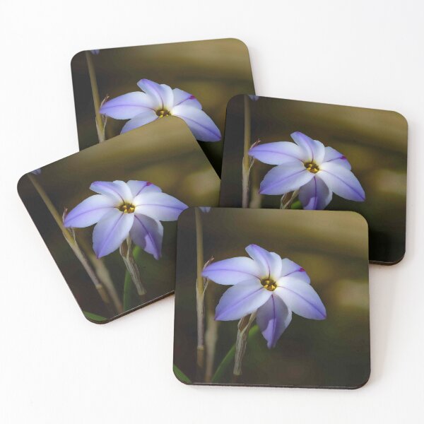 Item preview, The Spring Star flower designed and sold by Twisted Light Images.
