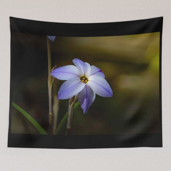Item preview, The Spring Star flower designed and sold by Twisted Light Images.