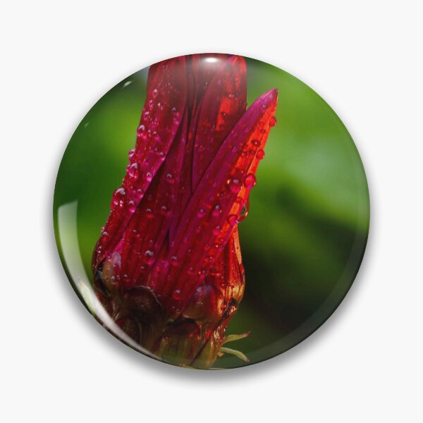 Item preview, Crimson Dewdrops on Flower Bud designed and sold by Twisted Light Images.