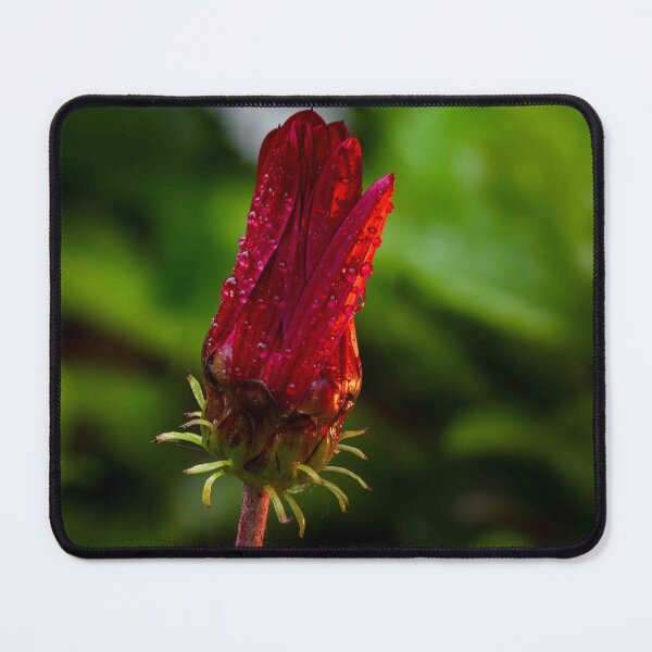 Item preview, Crimson Dewdrops on Flower Bud designed and sold by Twisted Light Images.