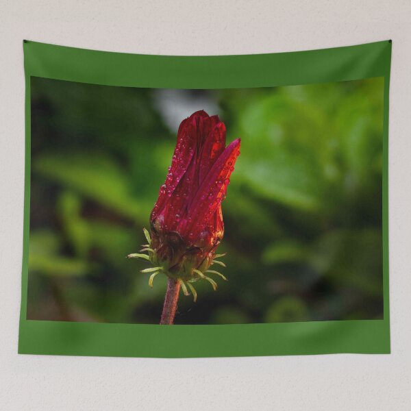 Item preview, Crimson Dewdrops on Flower Bud designed and sold by Twisted Light Images.