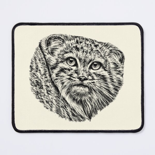 Item preview, Manul cub designed and sold by Guardi71.