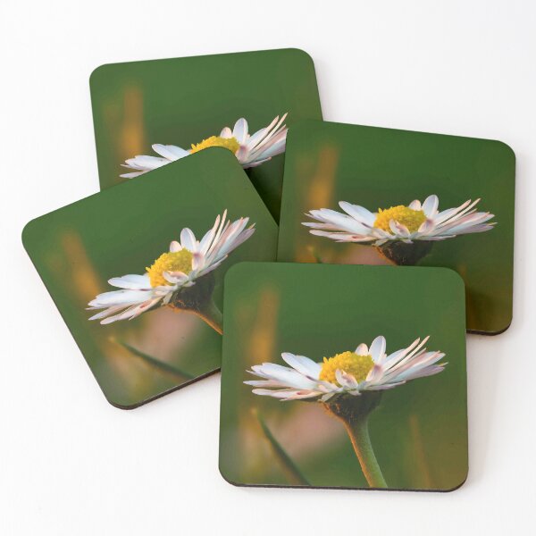 Item preview, The Golden Hour Daisy designed and sold by Twisted Light Images.