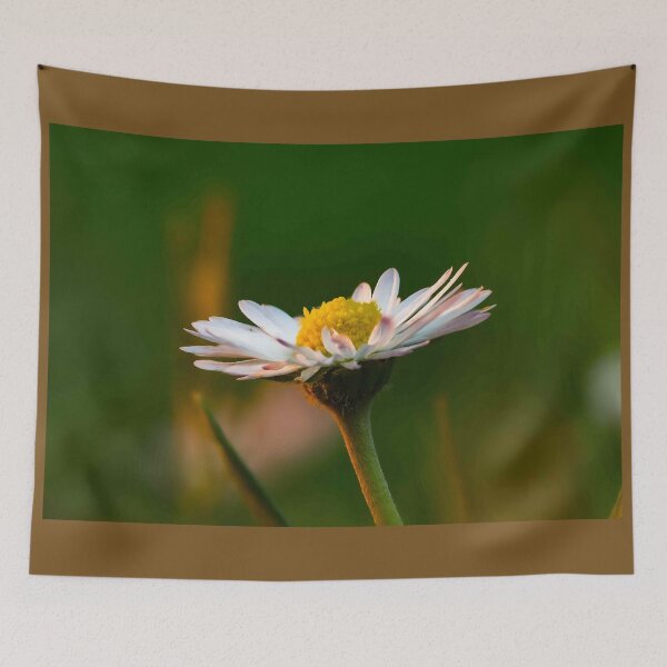 Item preview, The Golden Hour Daisy designed and sold by Twisted Light Images.