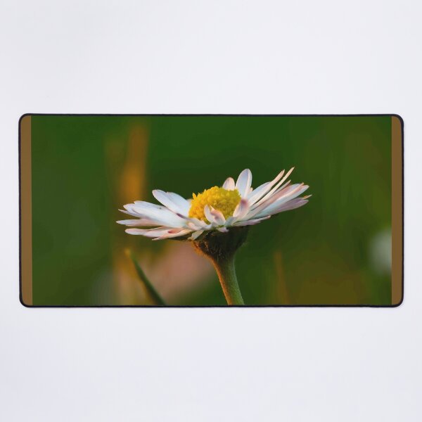 Item preview, The Golden Hour Daisy designed and sold by Twisted Light Images.